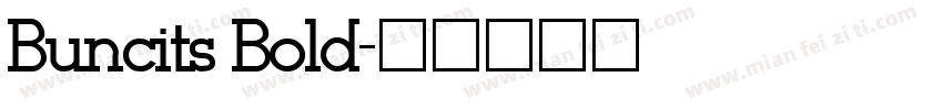 Buncits Bold字体转换